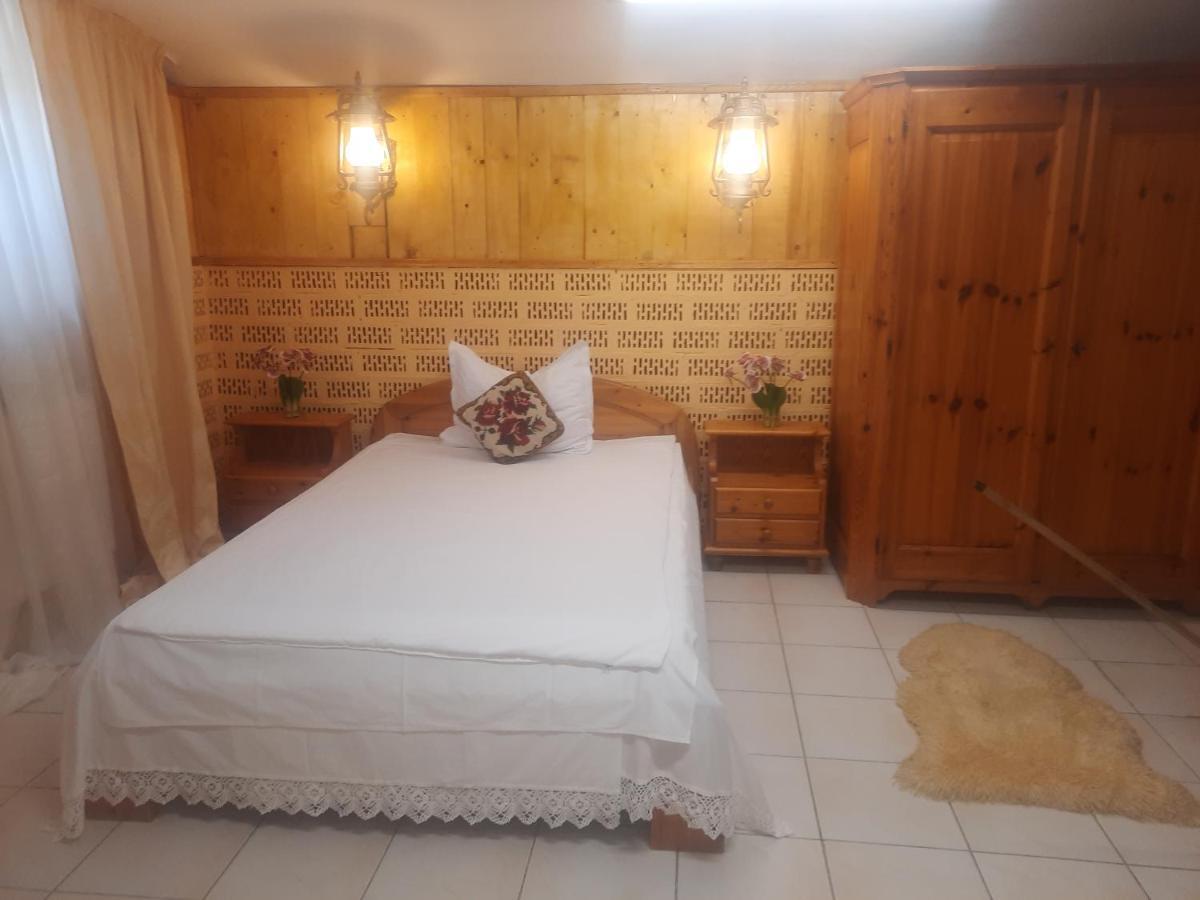 Apartament Pe Malul Raului Bega Timişoara Exterior foto
