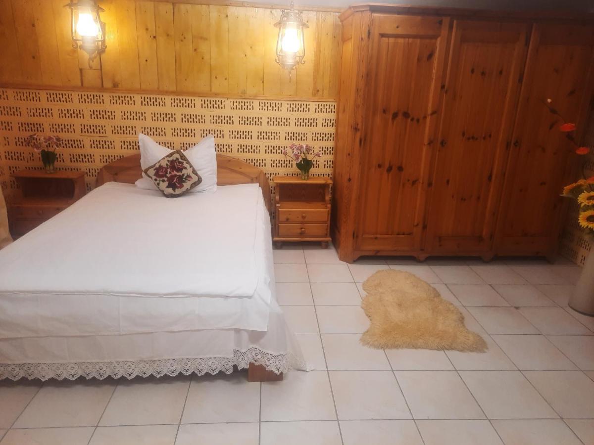 Apartament Pe Malul Raului Bega Timişoara Exterior foto